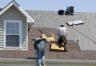 Townsonskylights-2.jpg; ?>